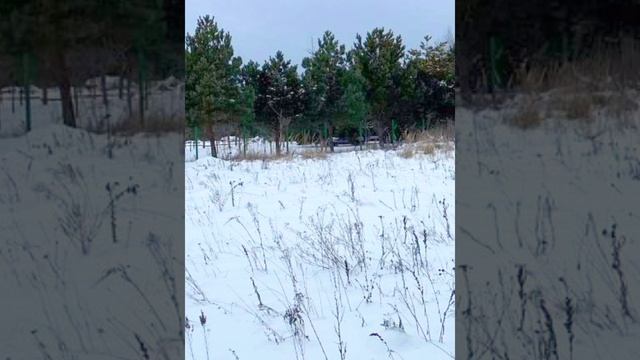 Прекрасный участок 34 сот. Между Тулой и Москвой примерно посередине.