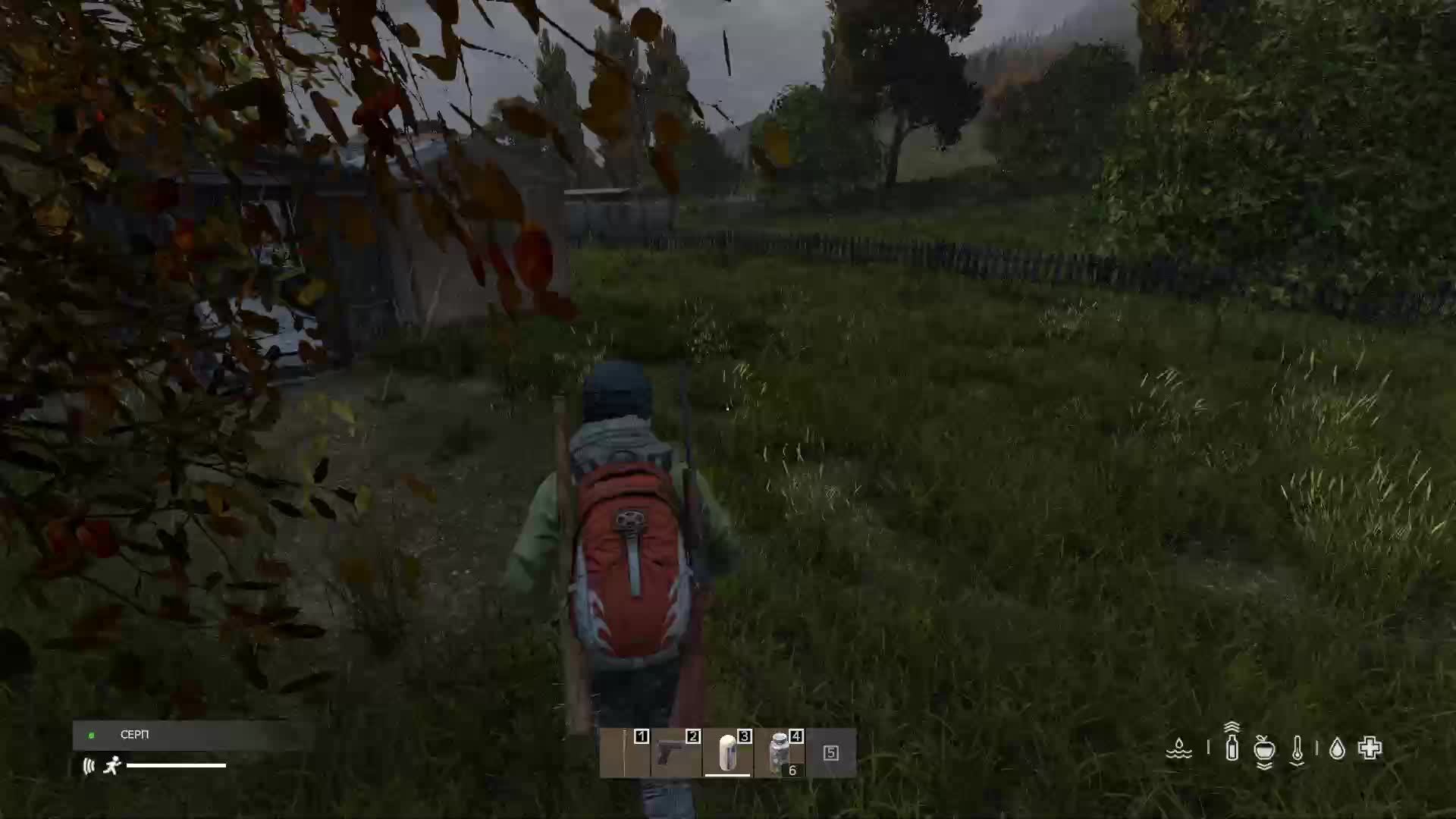 Dayz продолжим поиски...