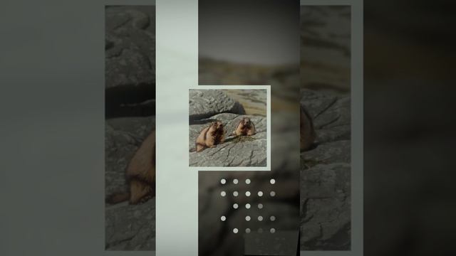 Как стать творческим гением в горах: Секретный ритуал “Портал Белуха”