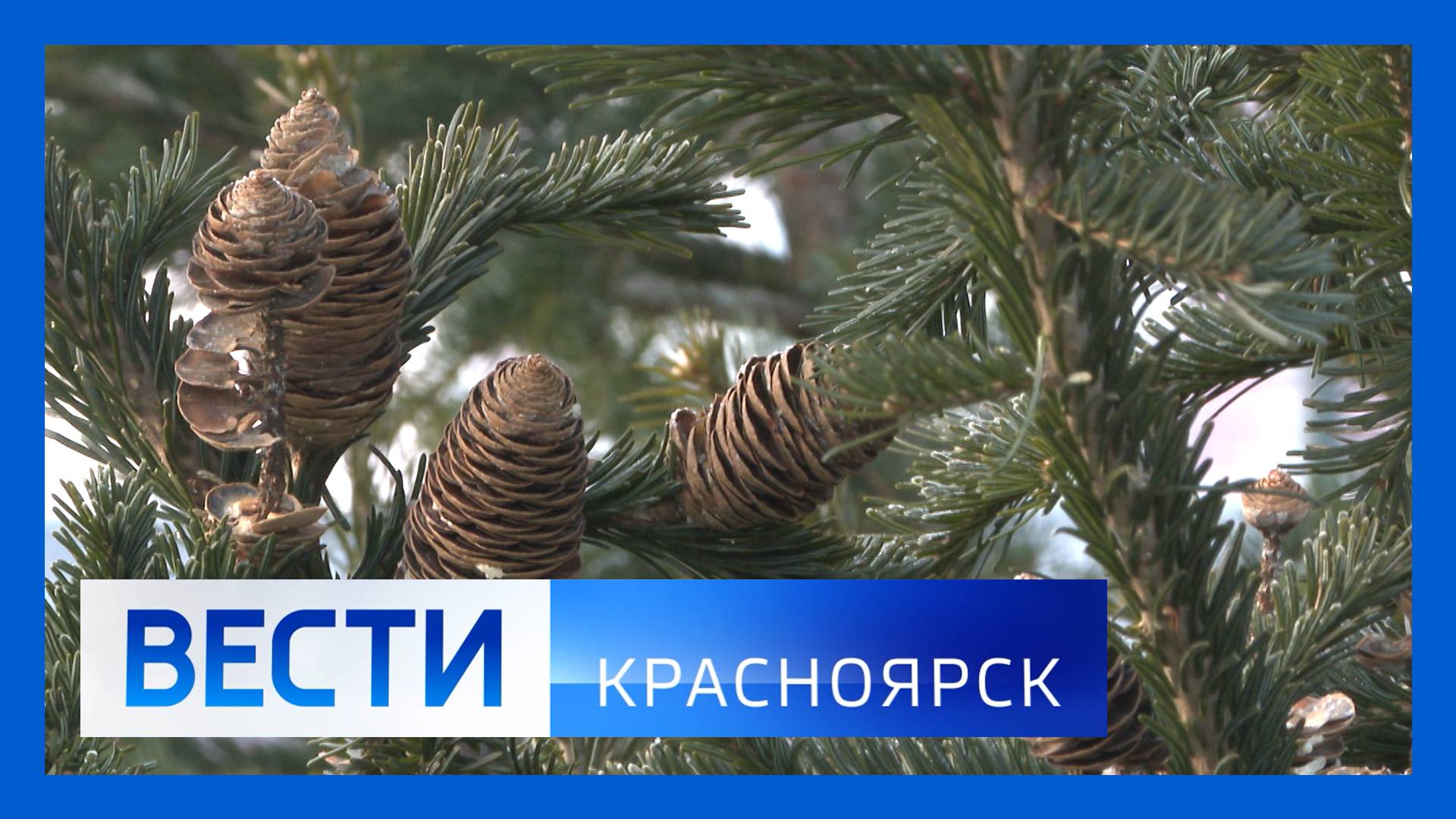 Вести. Красноярск от 18.12.2024