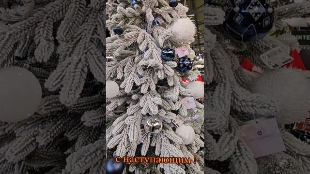 С наступающим