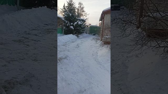 VID_20241219_163406_464.mp4