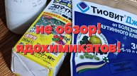 Почему на моих растениях нет вредителей и болезней? Не обзор! Пересадка и черенкование бугенвиллии.