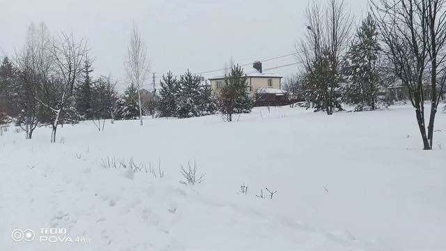 Зимняя прогулка 5.