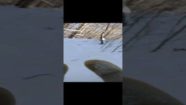 Я на тюбинге с горки