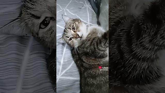 1000003652.mp4