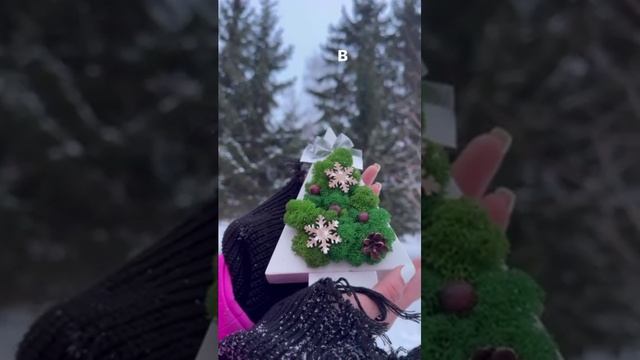 Елочка из стабилизированного мха 🎄💚