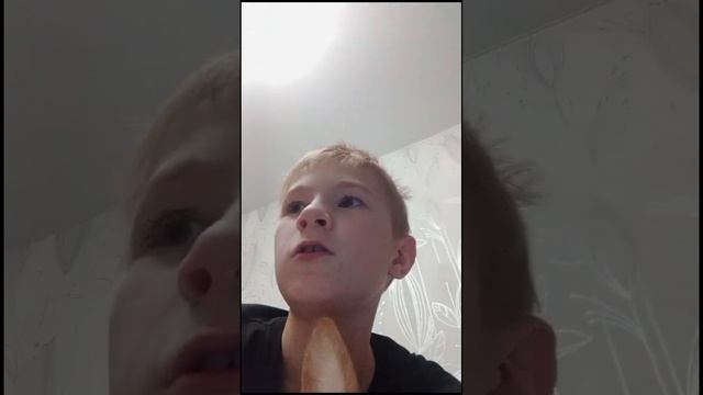 Моя собака