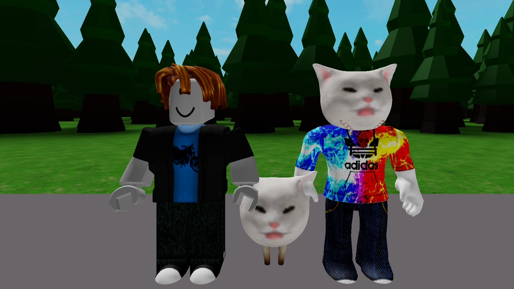 19-12-2024