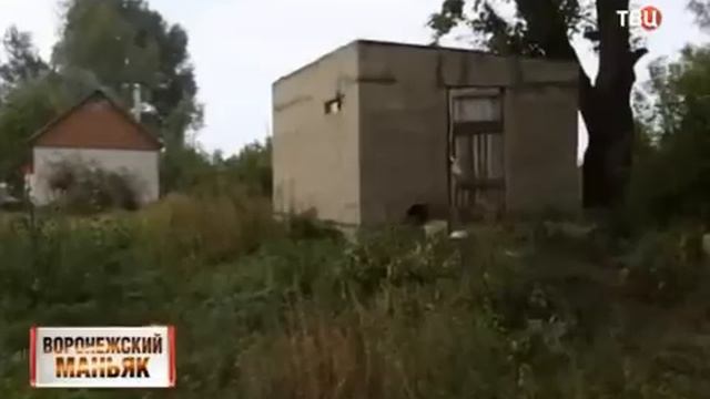 Перлевский маньяк