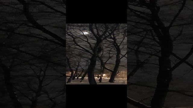 1000022331.mp4