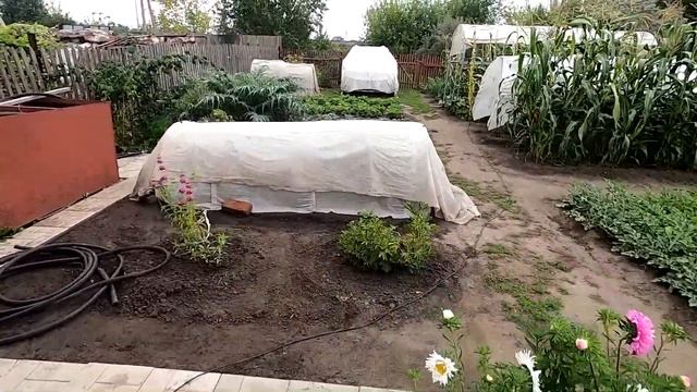 Загадка. Тонет ли плод дыни в воде?
