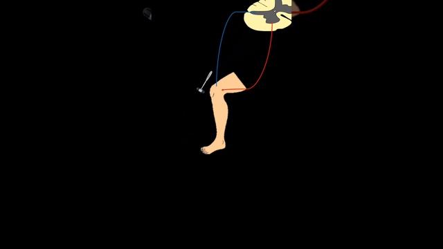 Рефлекторная дуга #медицина #anatomy #физиология #невролог #неврология