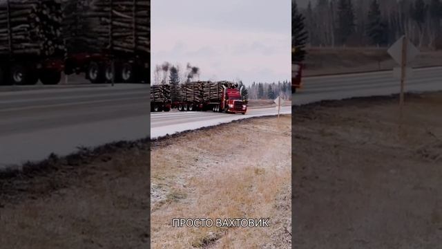 Американский тягач лесовоз