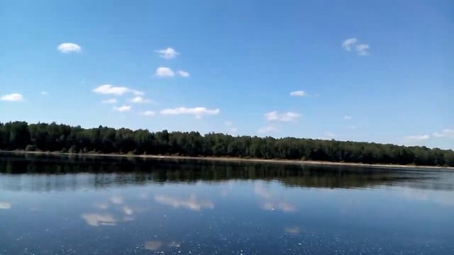 в поисках дикой природы