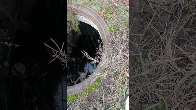 Я не смог пройти мимо этой ямы!