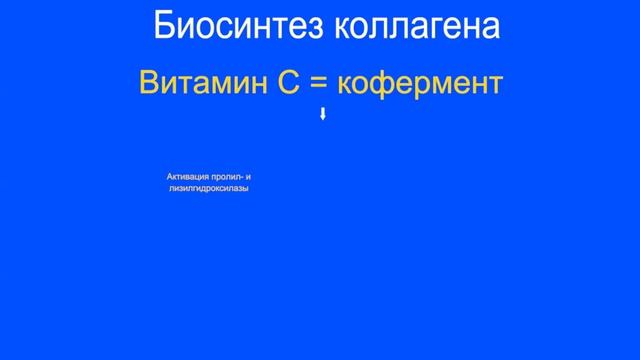 Витамин C | Какие функции выполняет? | Medanatfarm