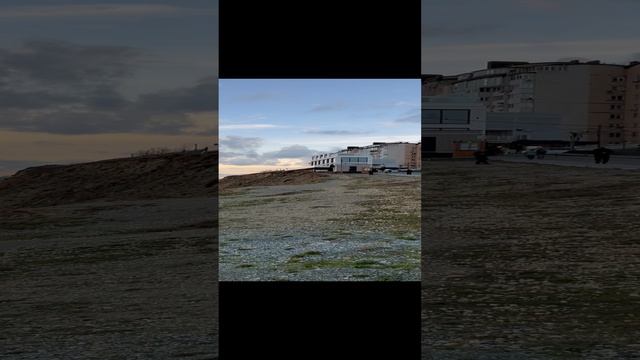 IMG_1272