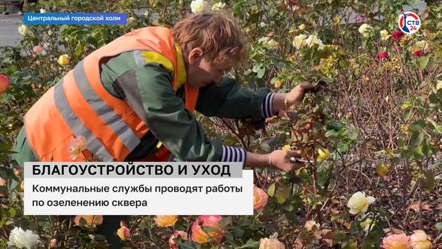 В Севастополе регулярно ухаживают за скверами (Дежурный по городу. 19 декабря 2024)