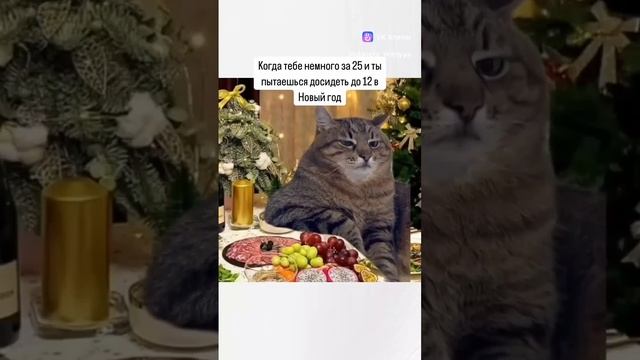 Новый год и ты пытаешься досидеть до 12