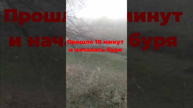 Буря в Луганске! 18.12.2024