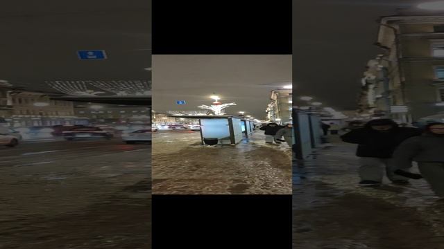 VID_20241219_172956.mp4
