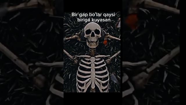 4_5905374273001751748.mp4