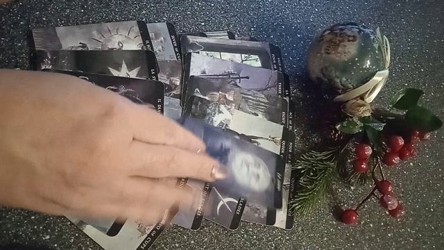 VID_20241219_200717.mp4