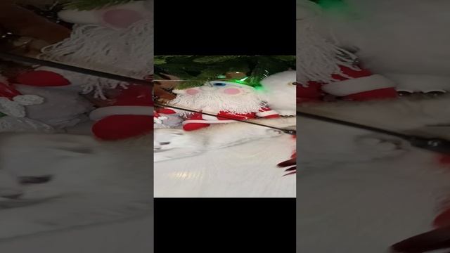 1000034335.mp4