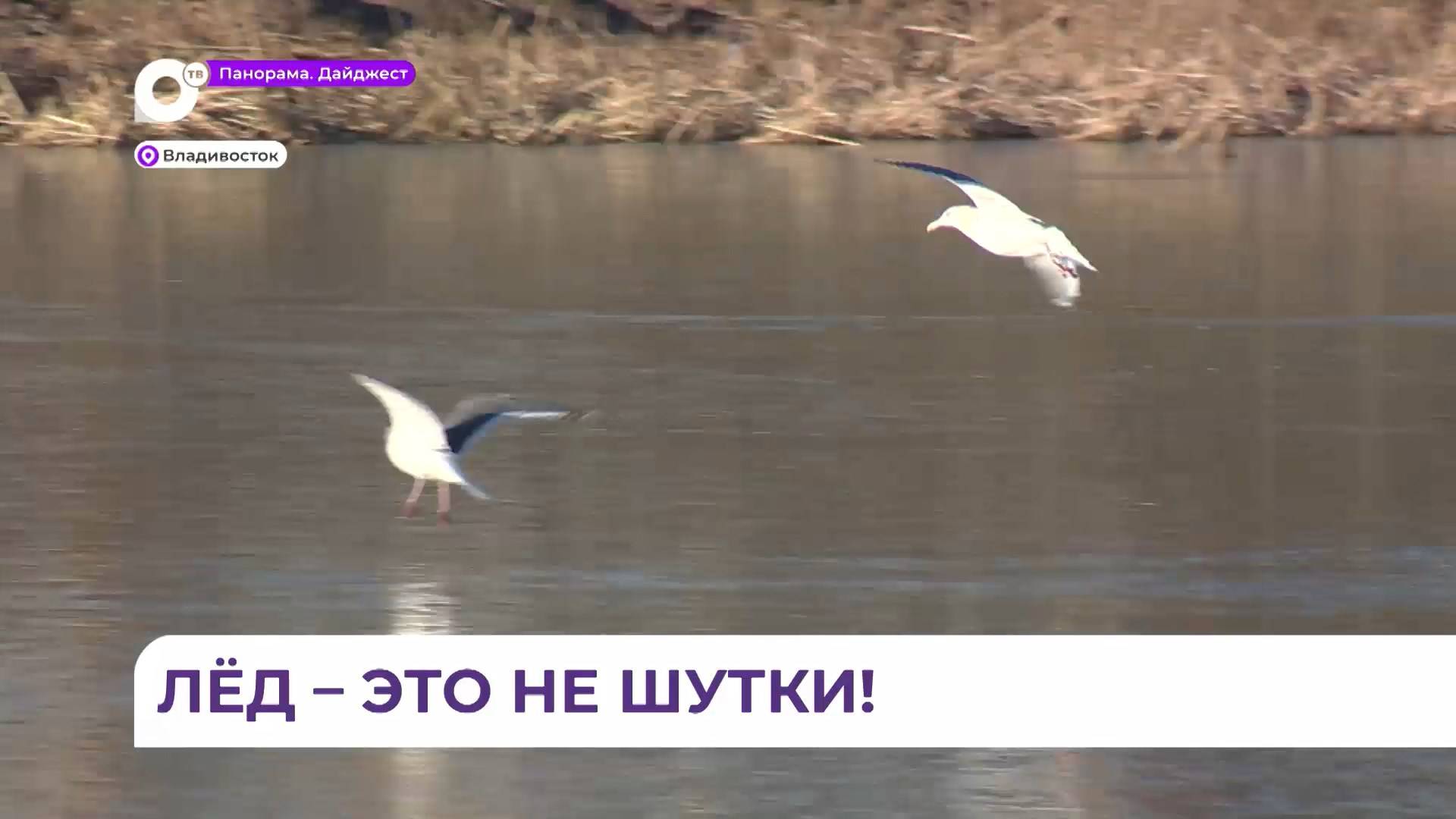 МЧС Приморья: выход на лёд в это время таит смертельную опасность