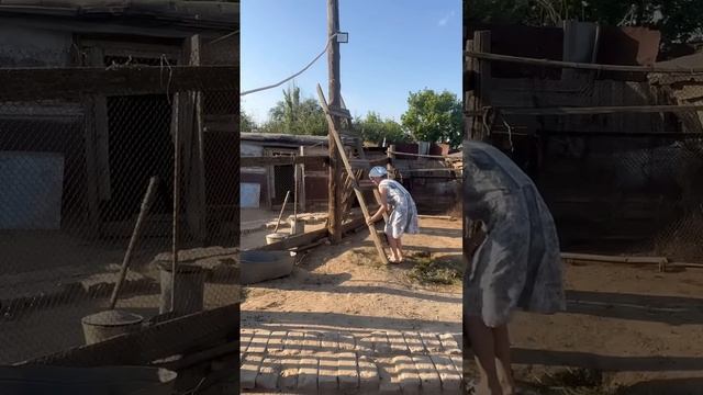 Что буду делать дальше?