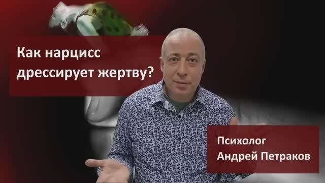Как нарцисс «дрессирует» жертву