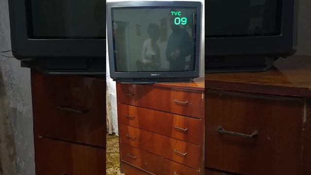 Видео WhatsApp 2024-12-19 в 20.13.12_620267e1