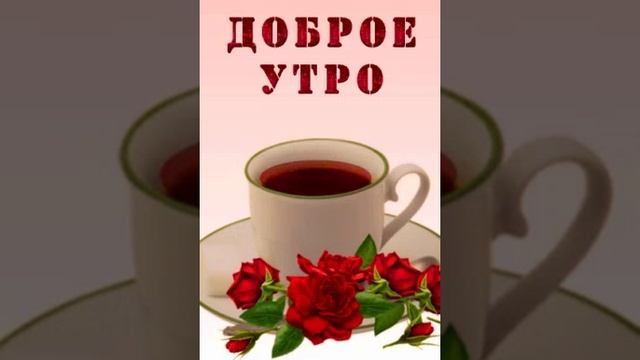 19-12-2024