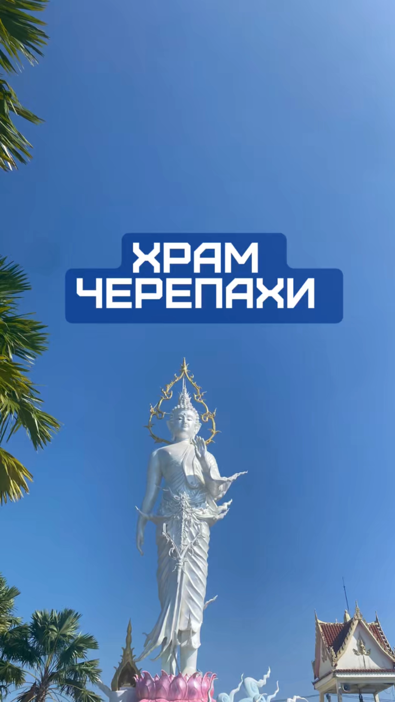 Храм черепахи