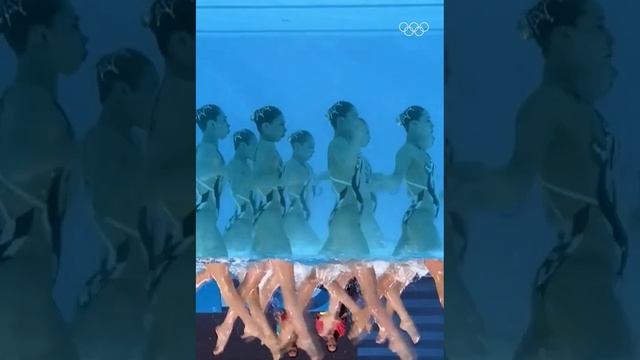 Синхронное плавание вверх ногами.
📹: r/Damnthatsinteresting