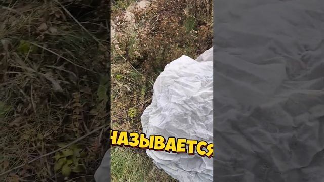 инженерия садовая многоразовая #своимируками #дача #инженер #лайфхак