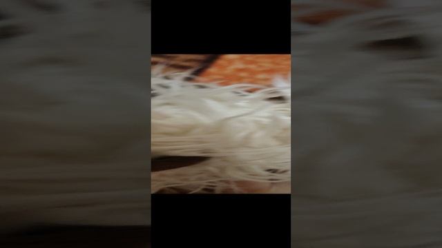 1000007400.mp4