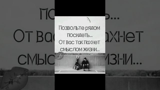 Смысл жизни