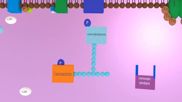 Распад ГЛИКОГЕНА | Medanatfarm