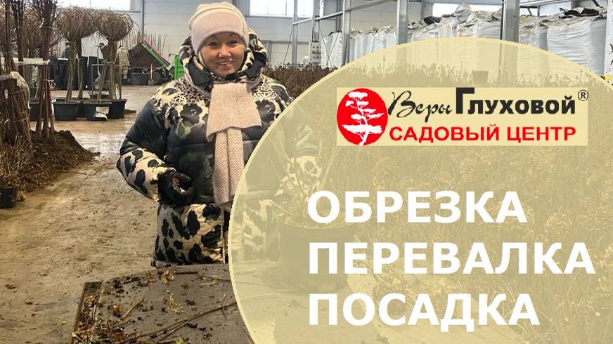 Обрезка. Перевалка. Посадка