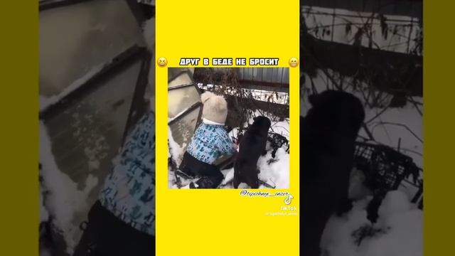 1000036481.mp4