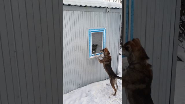 отражение