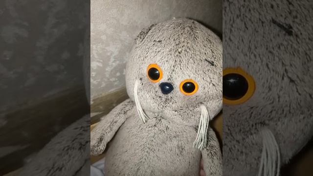 басики плохо 😱