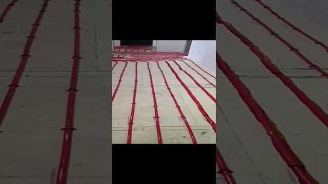 1000015363.mp4