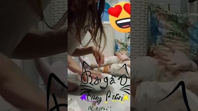 искусственный снег
