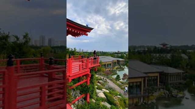Японский 🇯🇵 сад в Краснодаре #краснодар #парк #паркга