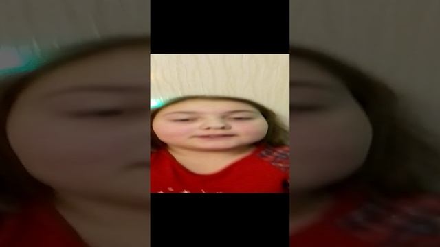 мои любимые лошадки