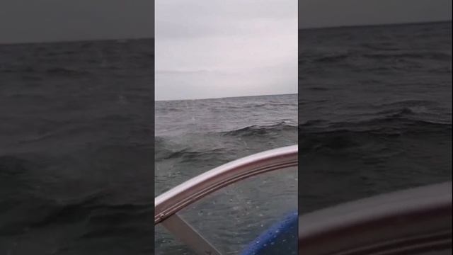 Ладожское озеро.