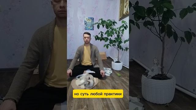 Медитация учит владеть своим вниманием